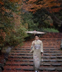 纯丝访问服 N