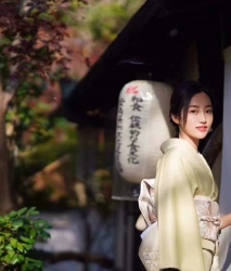 豪華訪問着 T