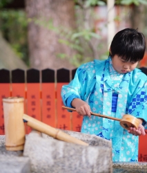 キッズプラン A