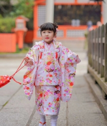 キッズプラン D